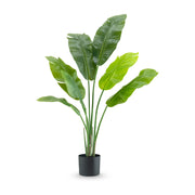 Élethű zöld mű strelitzia 120 cm fekete kaspóban