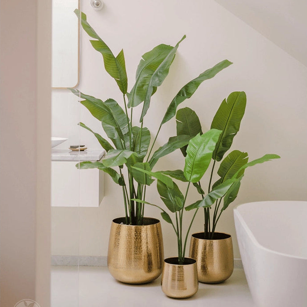 nagyméretű mű strelitzia növény arany kaspóban modern enteriőrben