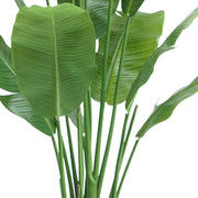 mű strelitzia törzs és levelek közelről részletgazdag kidolgozással