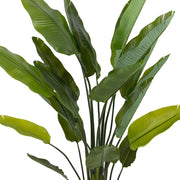 Real Touch hatású strelitzia műnövény levelei közelről fotózva.