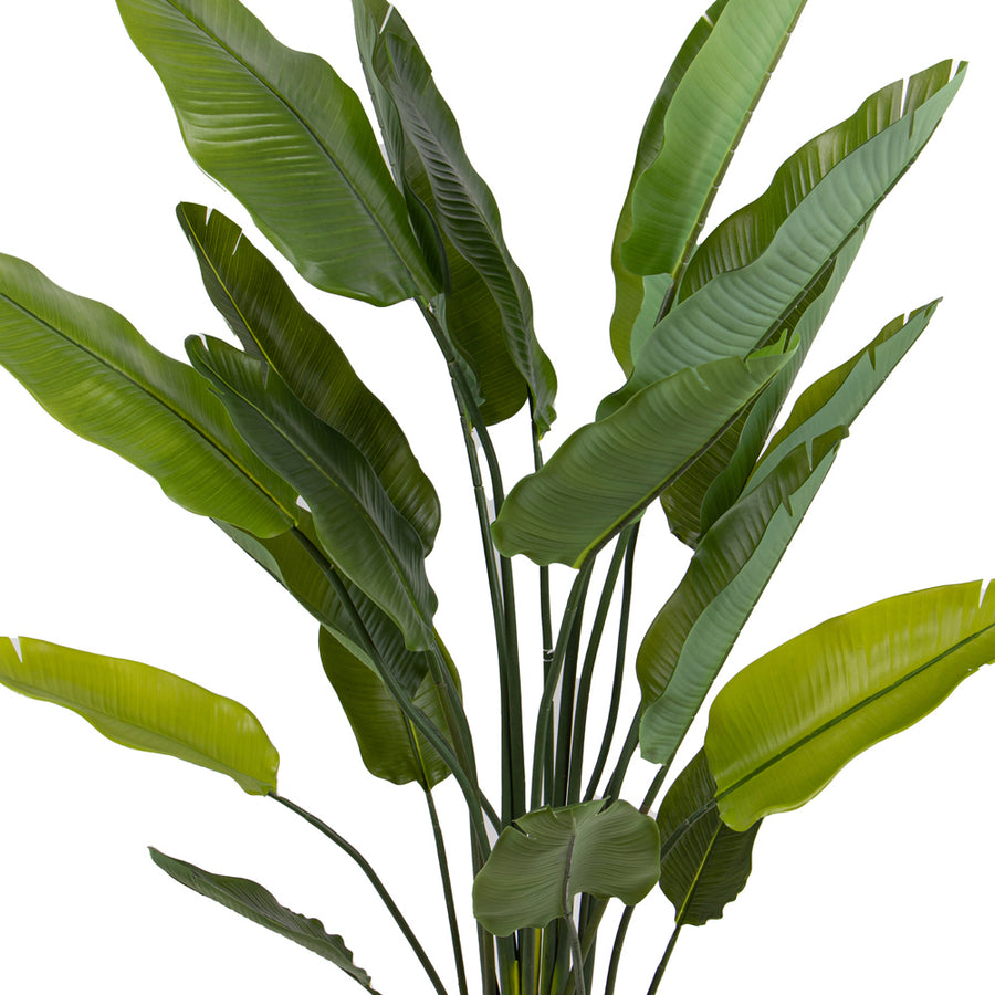 Real Touch hatású strelitzia műnövény levelei közelről fotózva.