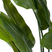 Részletfotó a strelitzia műnövény leveleiről, élethű zöld színben.