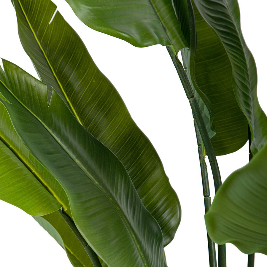 Részletfotó a strelitzia műnövény leveleiről, élethű zöld színben.