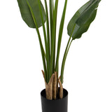 STRELITZIA zöld mű strelitzia leveleinek és fekete ültetőkaspójának közeli képe.