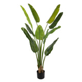 STRELITZIA zöld mű strelitzia 210 cm, fehér hátteres termékfotó.