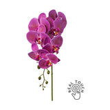 Lila színű, szálas orchidea művirág.