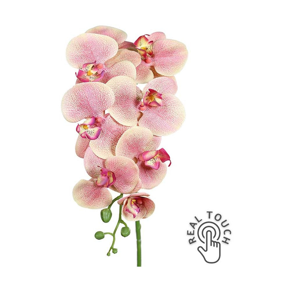 Barackszínű, szálas orchidea művirág.
