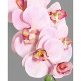 Pink színű, szálas orchidea művirág.