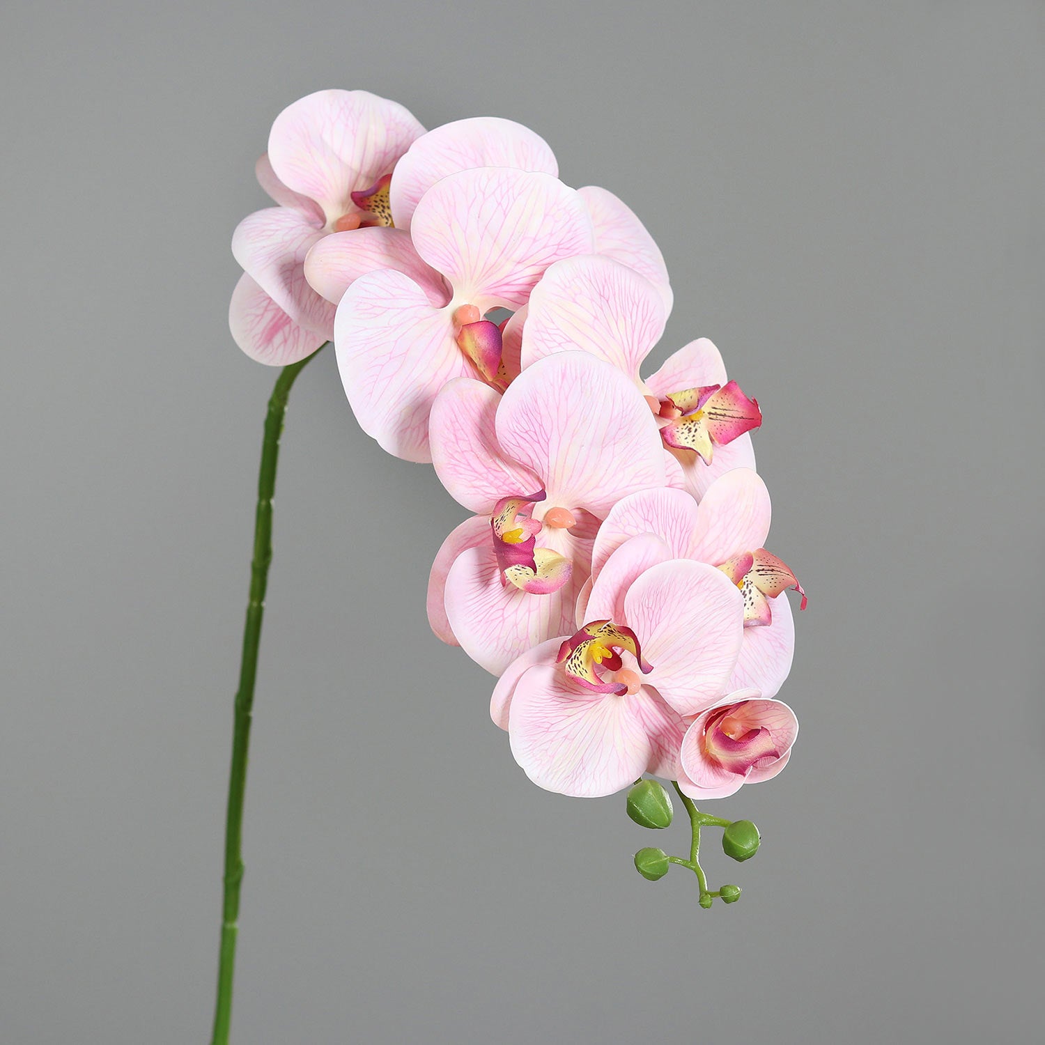 Pink színű, szálas orchidea művirág.