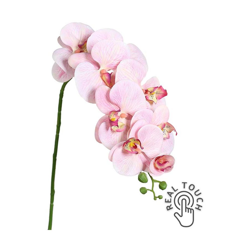 Pink színű, szálas orchidea művirág.