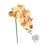 Sárga-narancs színű, szálas orchidea művirág.