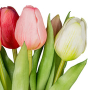 Pink-mix mű tulipán virágfejek közeli részlete természetes színátmenettel