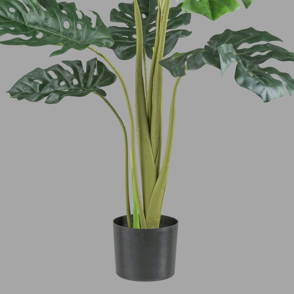 Zöld színű filodendron műnövény.