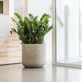 URBAN JUMBO Charlie XXS ficonstone design kaspó Ø 53 cm