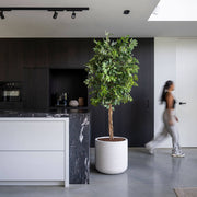 URBAN JUMBO Charlie XXS ficonstone design kaspó Ø 53 cm