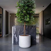 URBAN JUMBO Charlie XXS ficonstone design kaspó Ø 53 cm