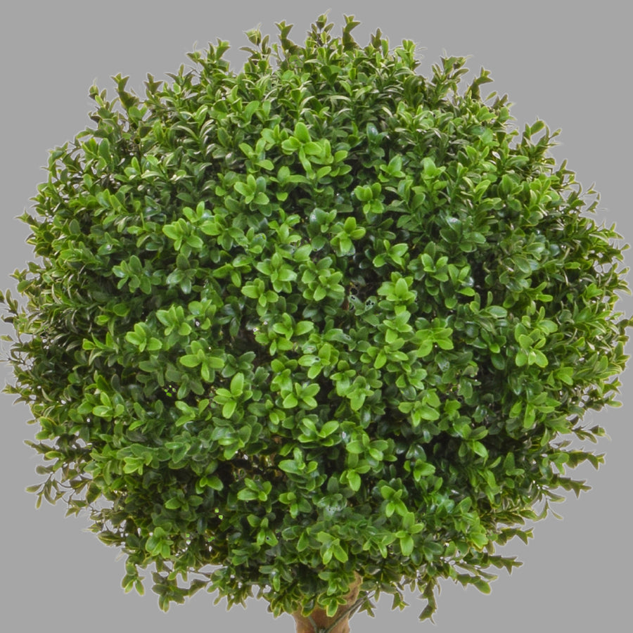 Zöld színű buxus fa műnövény.