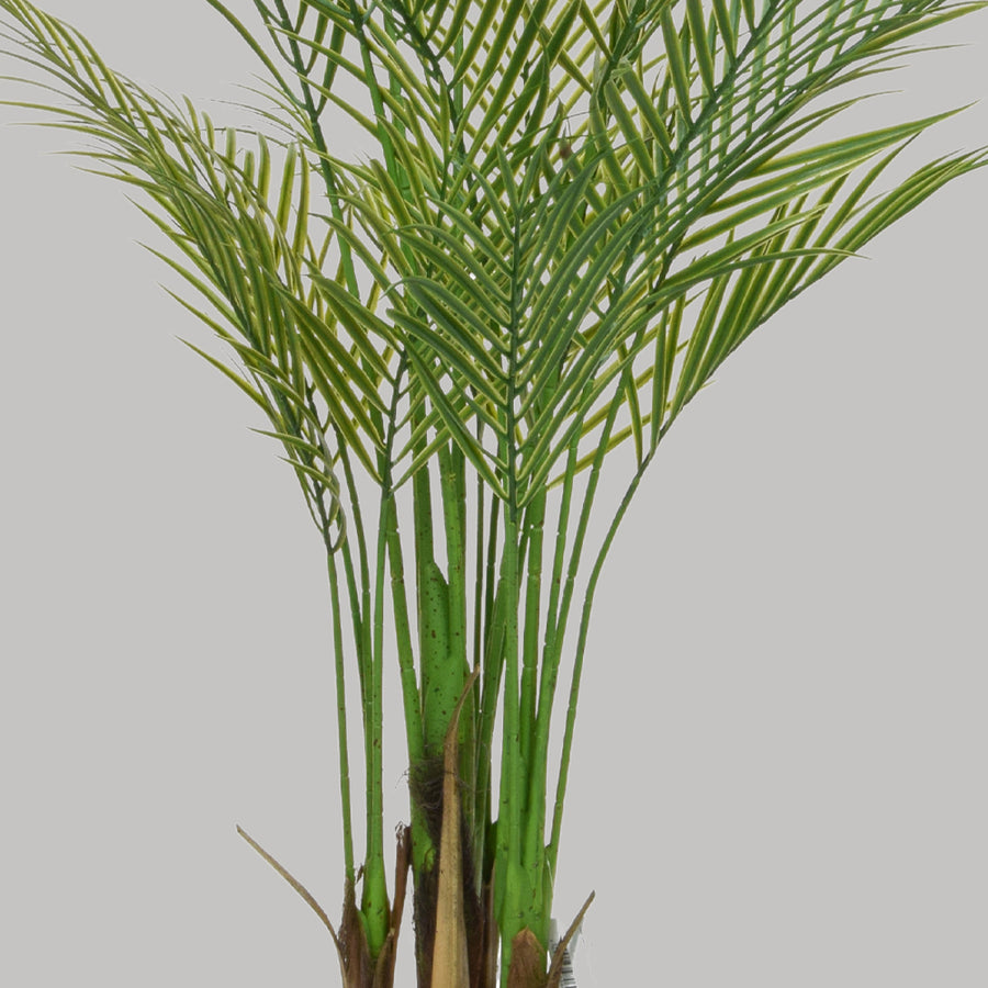 Zöld színű aranypálma műnövény.