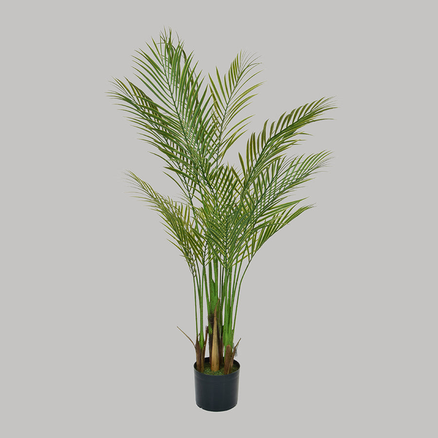 Zöld színű aranypálma műnövény.