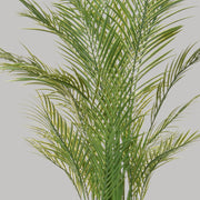 Zöld színű aranypálma műnövény.