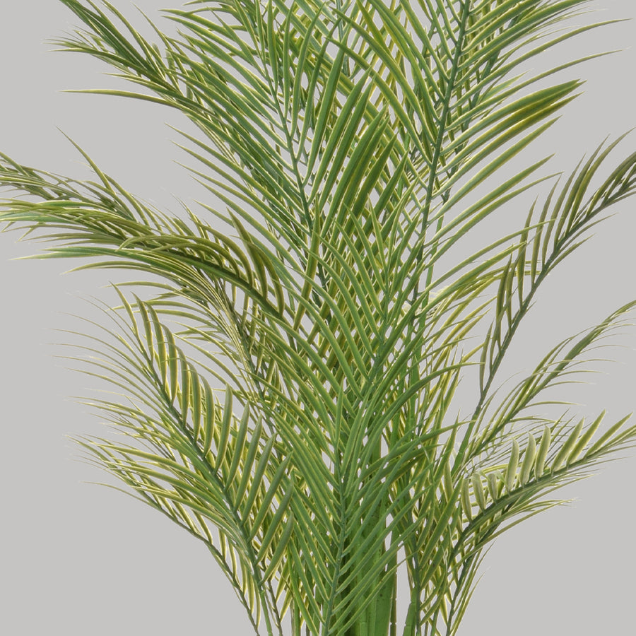 Zöld színű aranypálma műnövény.