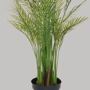 Zöld színű aranypálma műnövény.