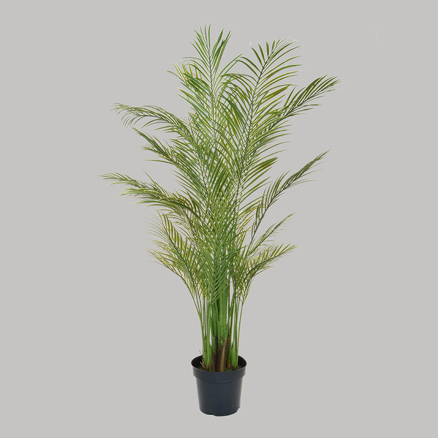 Zöld színű aranypálma műnövény.