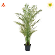 Zöld színű aranypálma műnövény.