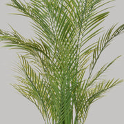 Zöld színű aranypálma műnövény.