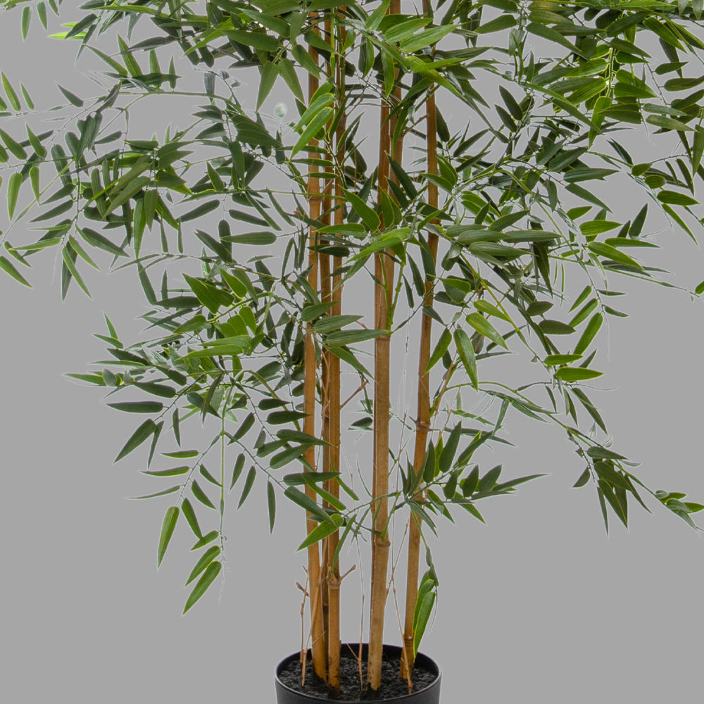 Zöld színű bambusz műnövény.