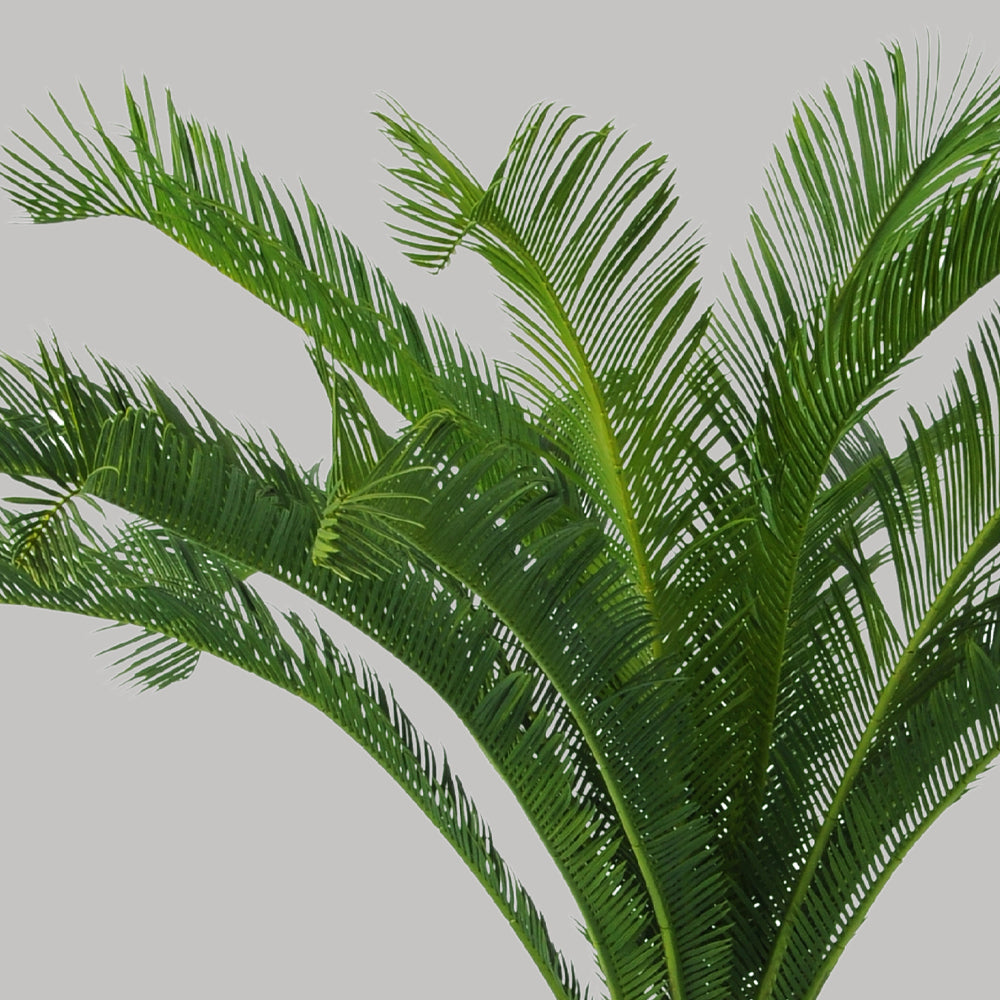Zöld színű cikász pálma műnövény.