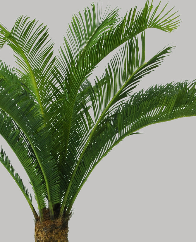 Zöld színű cikász pálma műnövény.