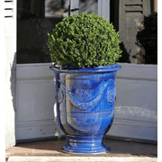 Kék anduze kaspó gömbbukszussal. 