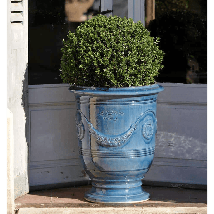 Levendulakék színű anduze kaspó zöld gömb bukszussal.