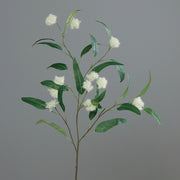 Pompon szerű termésekkel díszített, zöld színű eukaliptusz ág műnövény.