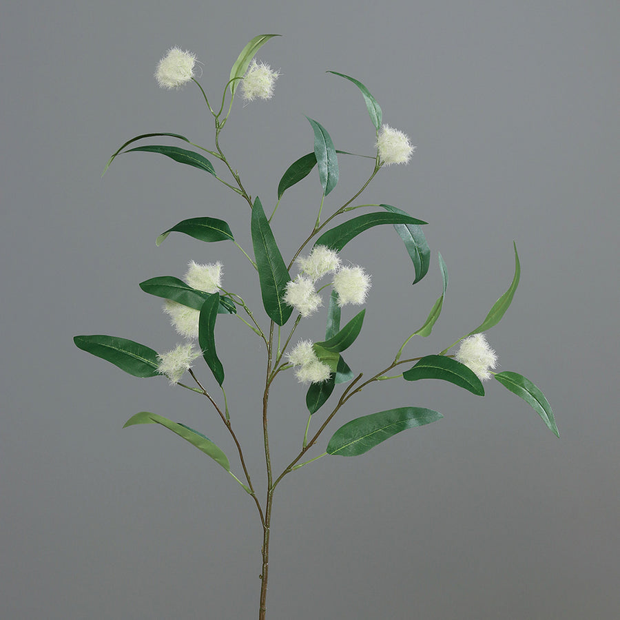 Pompon szerű termésekkel díszített, zöld színű eukaliptusz ág műnövény.