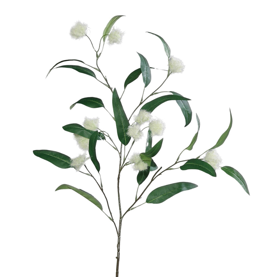 Pompon szerű termésekkel díszített, zöld színű eukaliptusz ág műnövény.