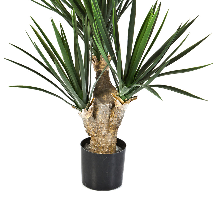 Yucca baby jukka műnövény törzse és fekete cserép közelről.