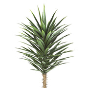 A jukka pálma élethű, hegyes zöld leveleinek részletfotója.