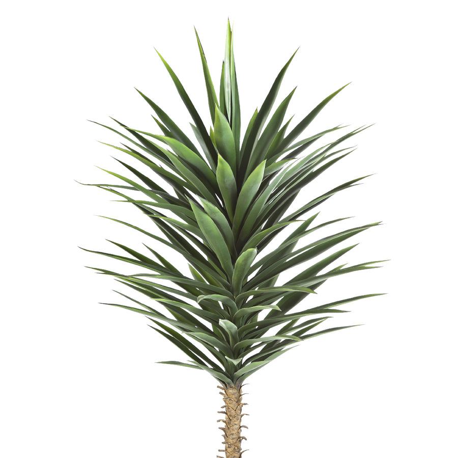 A jukka pálma élethű, hegyes zöld leveleinek részletfotója.