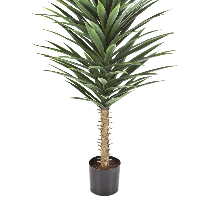 A 130 cm magas mű jukka pálma alsó törzse és fekete cserepe.