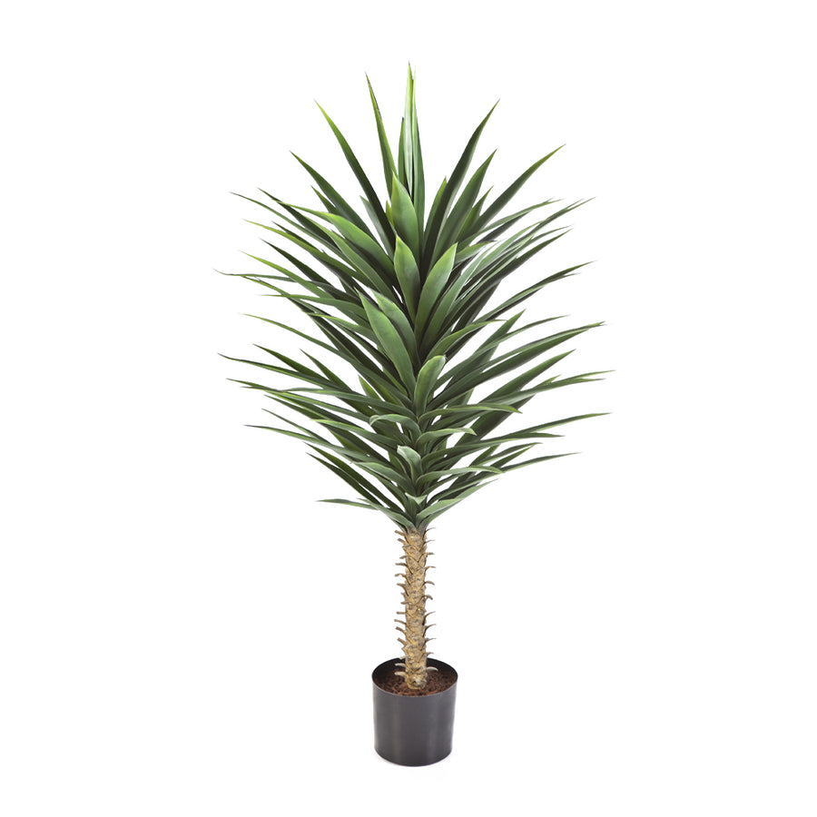YUCCA zöld mű jukka pálma 130 cm teljes növény fekete cserépben.