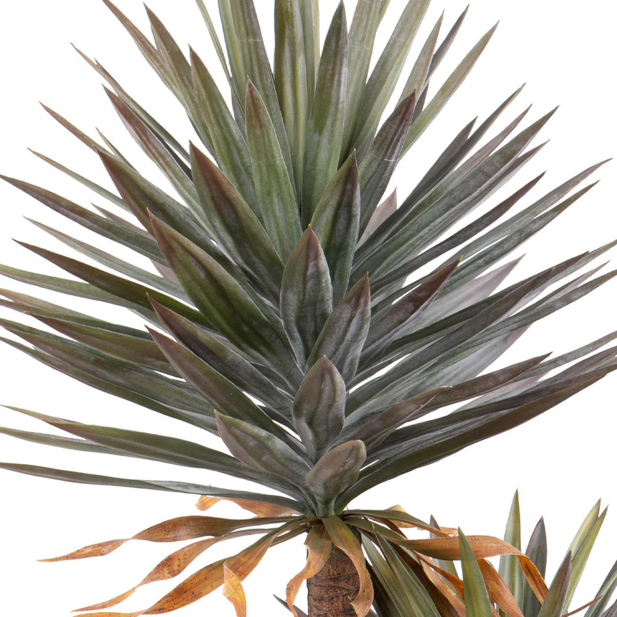 Mű jukka pálma részletfotó hosszúkás zöld levelekkel, élethű kidolgozásban.