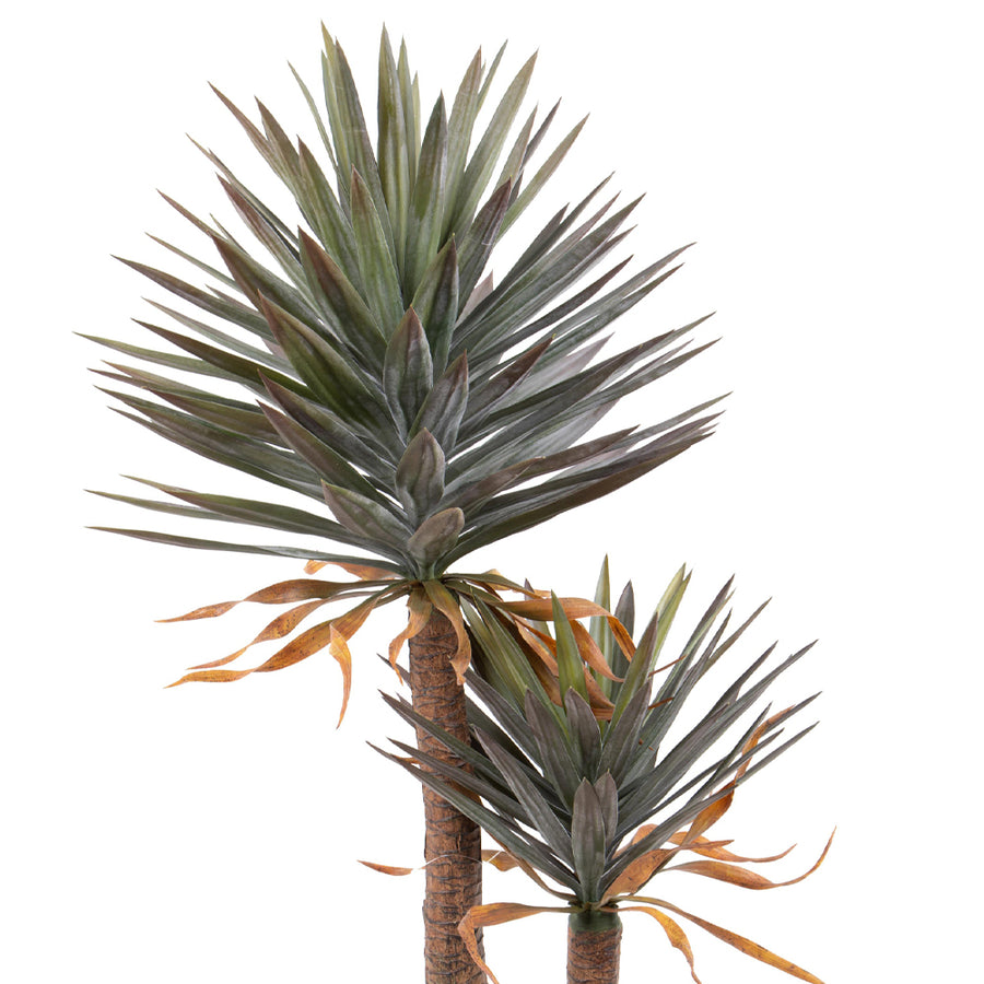 Két törzsű mű yucca pálma élethű zöld levelekkel és barna törzzsel.