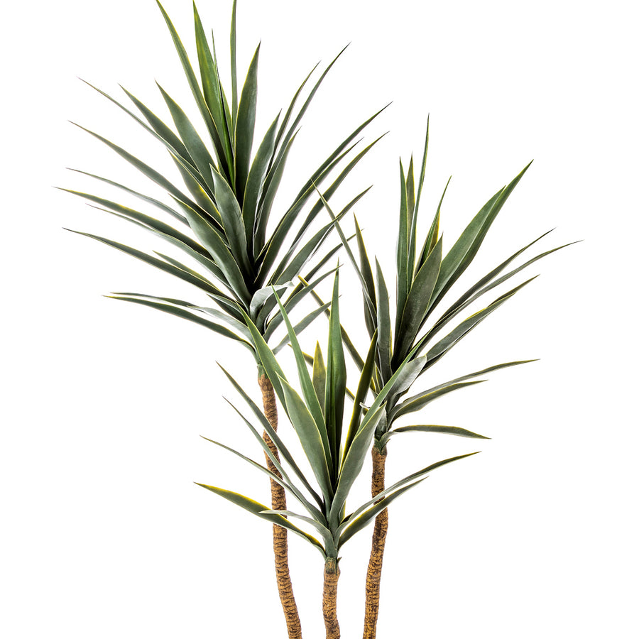 YUCCA De Luxe jukka pálma élethű, hosszúkás zöld leveleinek részlete közelről.