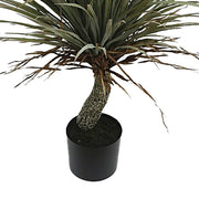 Jukka pálma műnövény törzzsel és fekete cseréppel