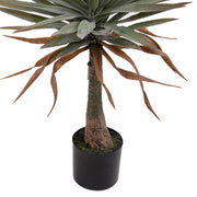 A mű jukka pálma alsó törzse fekete cserépben.