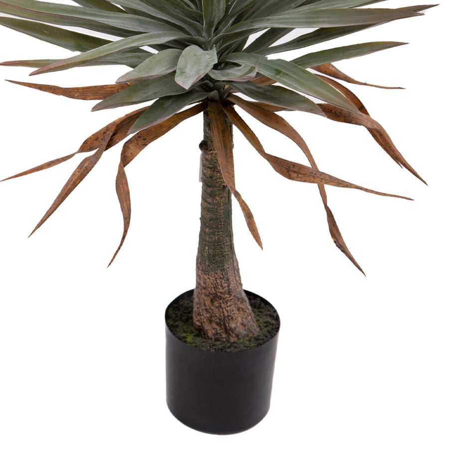 A mű jukka pálma alsó törzse fekete cserépben.