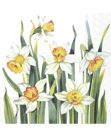 Extra minőségű, fehér színű nárcisz virágokkal díszített, természetes úton fehérített három rétegű puha papírszalvéta, 20 darabos kiszerelésbe csomagolva