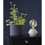 Clear Filament dekorációs izzó. Meleg fehér fényű LED dekorációs izzó áttetsző üveggel.